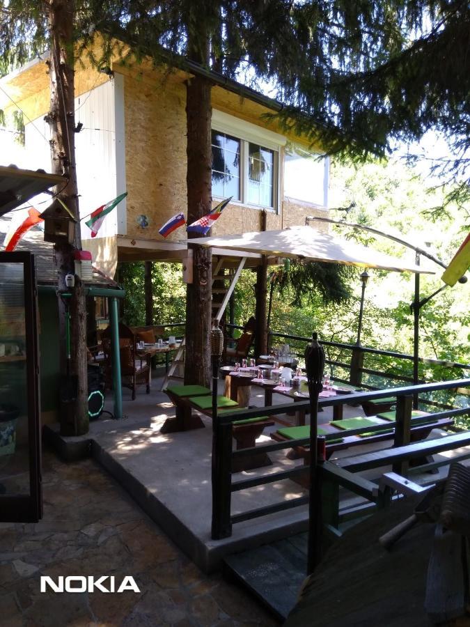 Tree House Apartment Високо Екстериор снимка