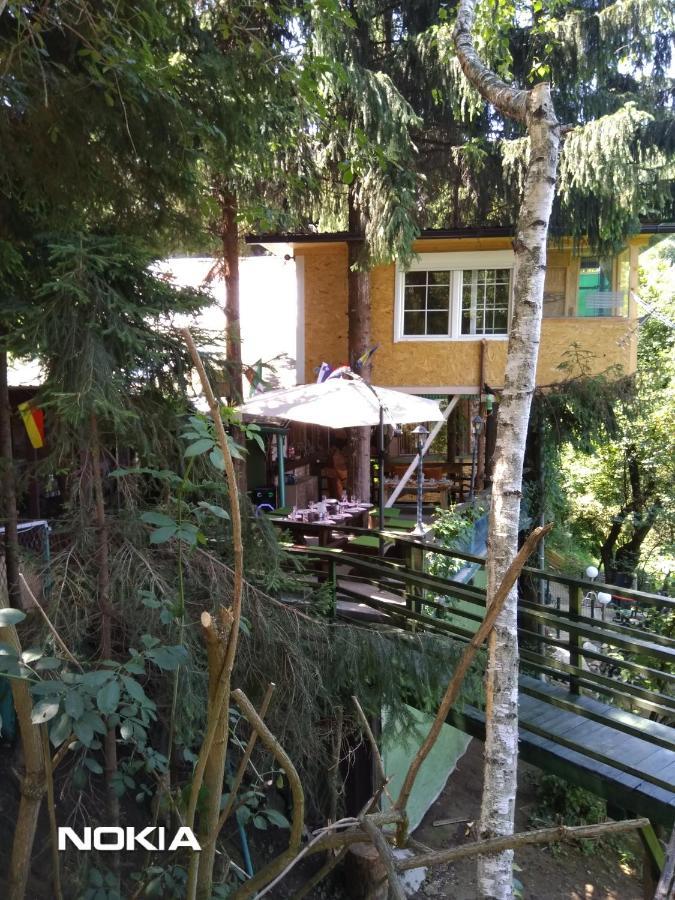 Tree House Apartment Високо Екстериор снимка