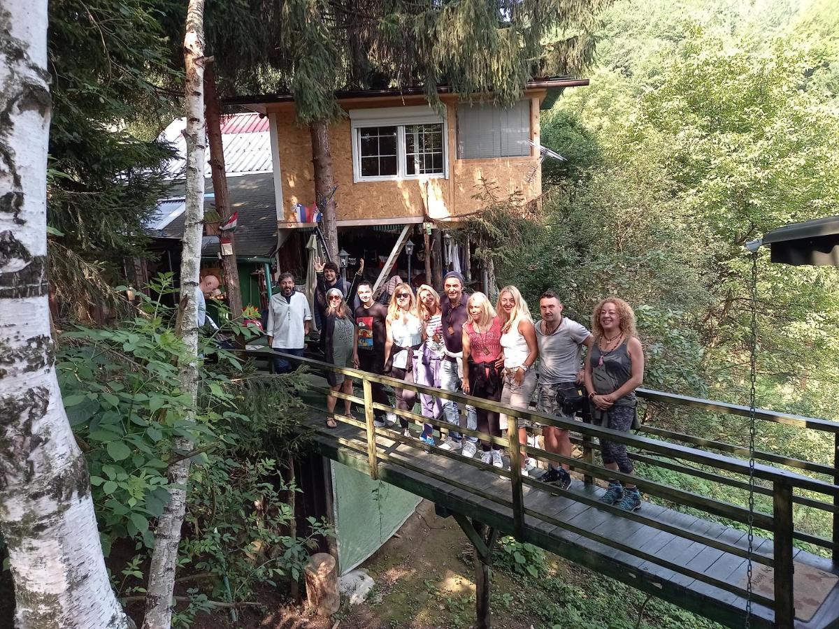 Tree House Apartment Високо Екстериор снимка